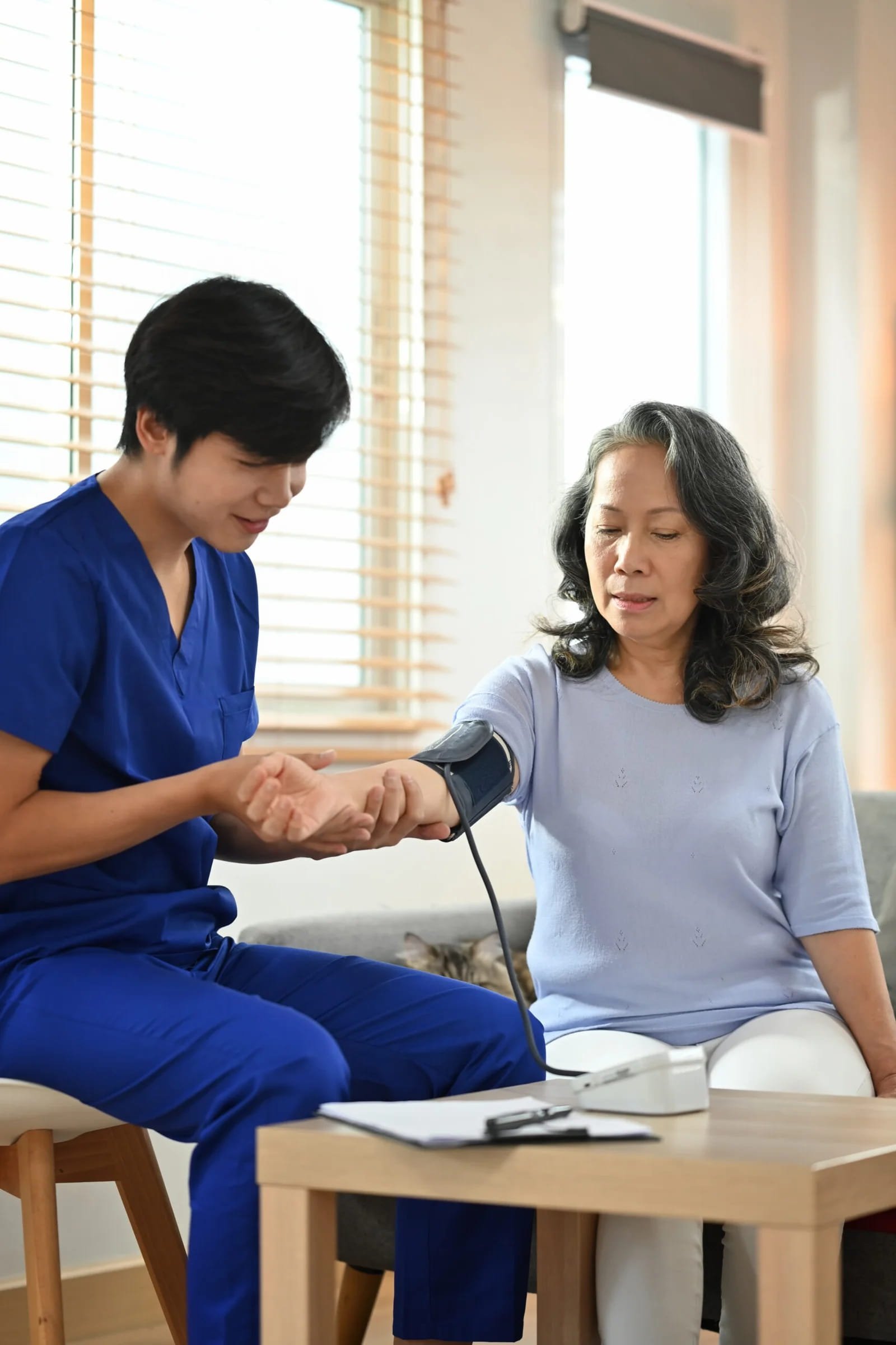 Blood Pressure Care Process