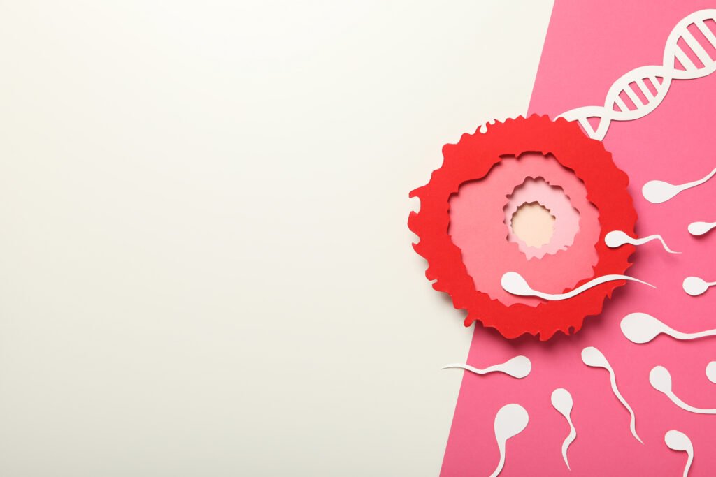 Estrogen | Menopause