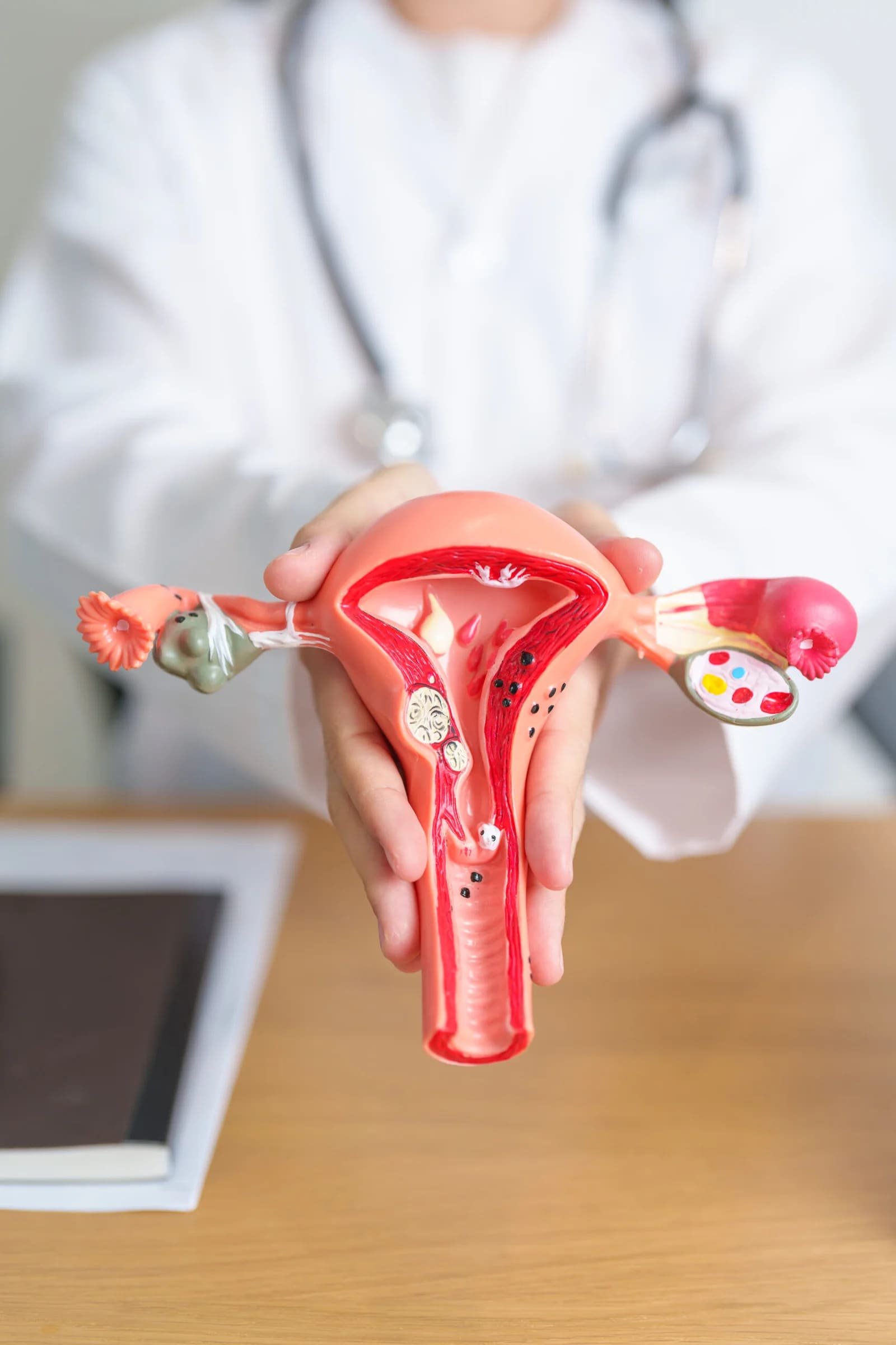 Menstrual Care Process