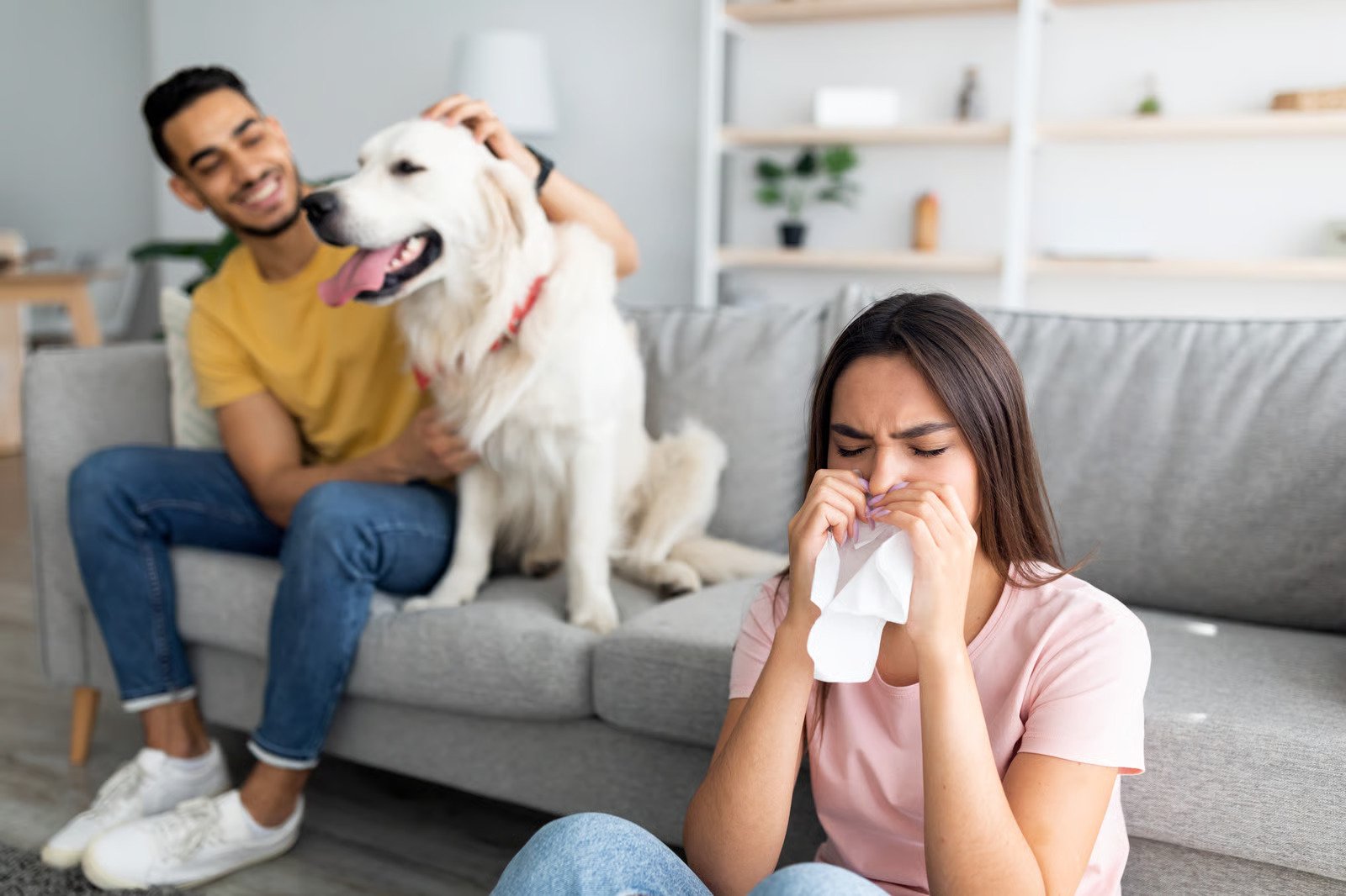 kennel cough